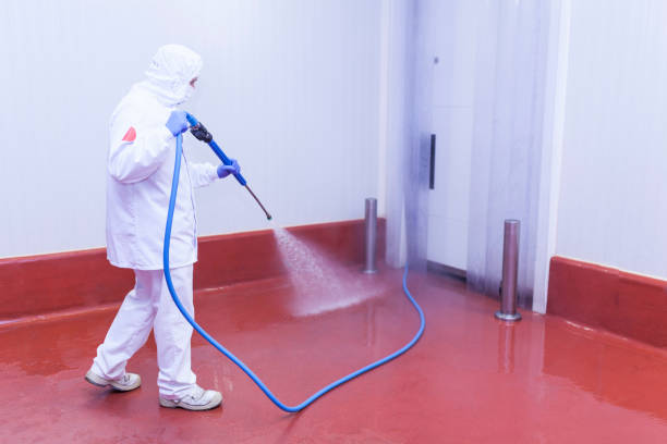 Pre-Holiday Cleaning in Emmaus, PA